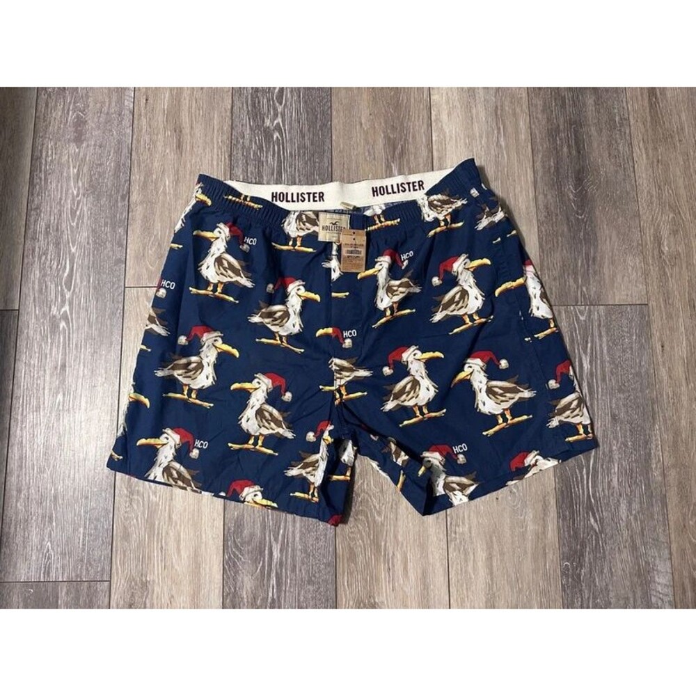 Hollister Y2K boxers NWT